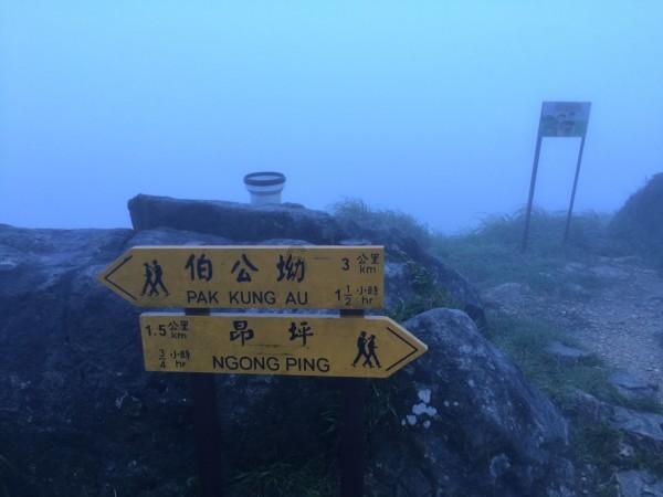 拯救精灵的土地7