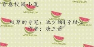 《幻兽帕鲁》人物配点心得